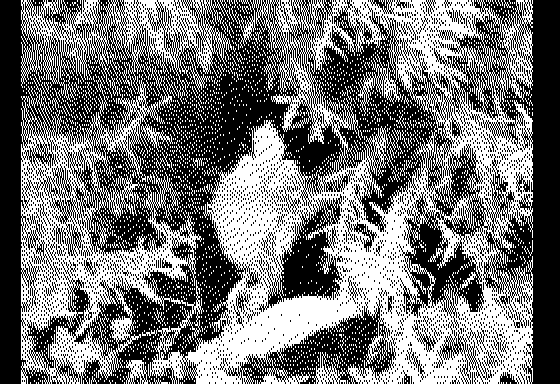 DHGR Support added to Apple II Mastodon, Wozamp and Quicktake DHGR Support added to Apple II Mastodon, Wozamp and Quicktake